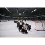 780x520Eishockey 15.01.12  Eisloewen-Steelers (76).JPG